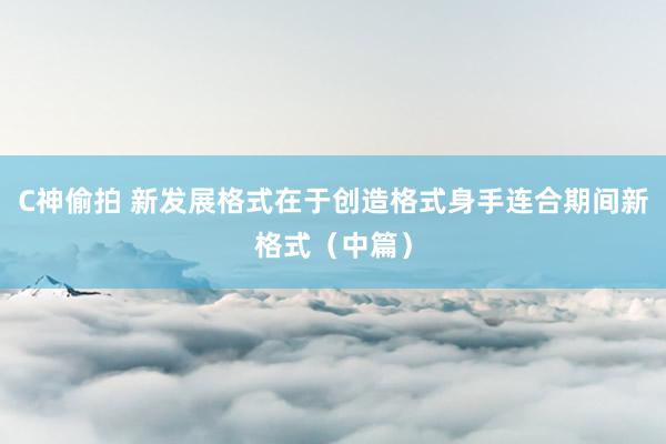 C神偷拍 新发展格式在于创造格式身手连合期间新格式（中篇）