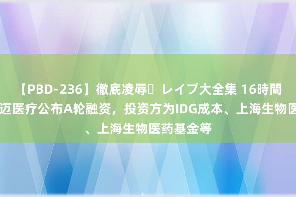 【PBD-236】徹底凌辱・レイプ大全集 16時間 第2集 海迈医疗公布A轮融资，投资方为IDG成本、上海生物医药基金等