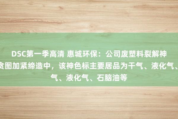 DSC第一季高清 惠城环保：公司废塑料裂解神色正在按贪图加紧缔造中，该神色标主要居品为干气、液化气、石脑油等