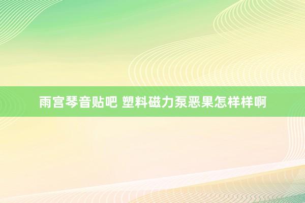 雨宫琴音贴吧 塑料磁力泵恶果怎样样啊
