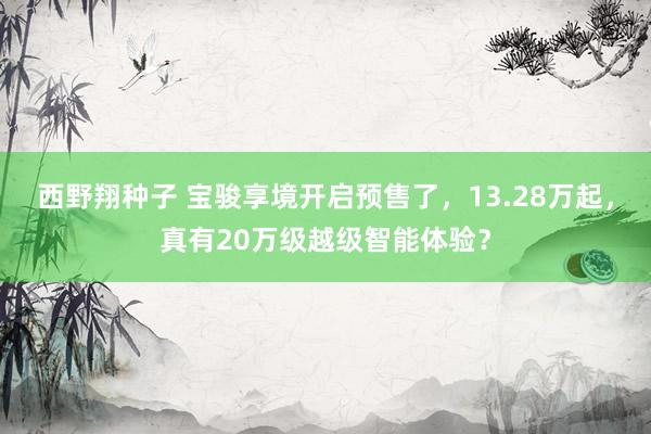西野翔种子 宝骏享境开启预售了，13.28万起，真有20万级越级智能体验？