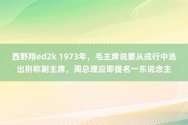 西野翔ed2k 1973年，毛主席说要从戎行中选出别称副主席，周总理应即提名一东说念主