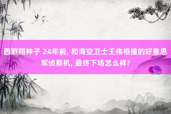 西野翔种子 24年前, 和海空卫士王伟相撞的好意思军侦察机, 最终下场怎么样?