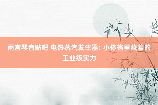 雨宫琴音贴吧 电热蒸汽发生器: 小体格里藏着的工业级实力